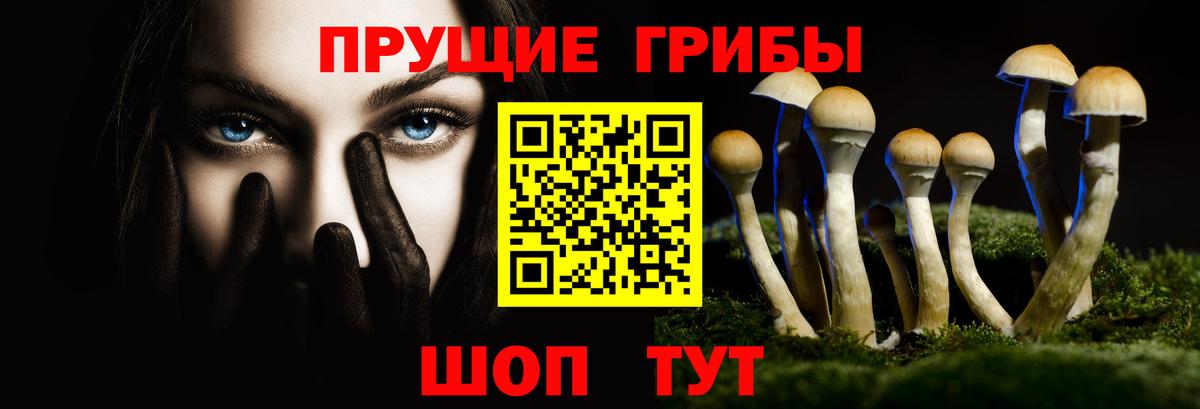 Галлюциногенные грибы мицелий Свободный