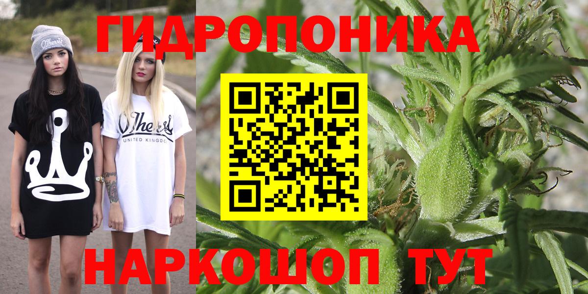 МАРИХУАНА ГИДРОПОН  МАРИХУАНА планчик  Свободный  Вход с VPN  Каннабис OG Kush  Марихуана план 